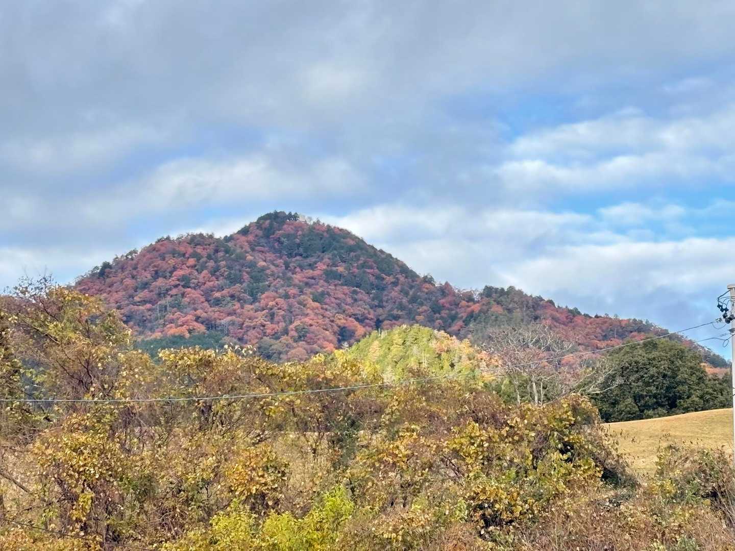 下山後、誕生山を見上げて
紅葉してる🍁