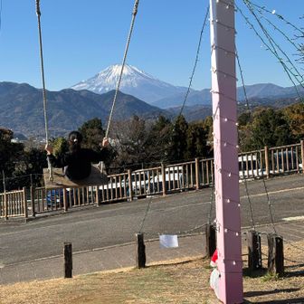 気持ちよさげのブランコ