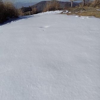 山頂。まっさらな雪のカーペット