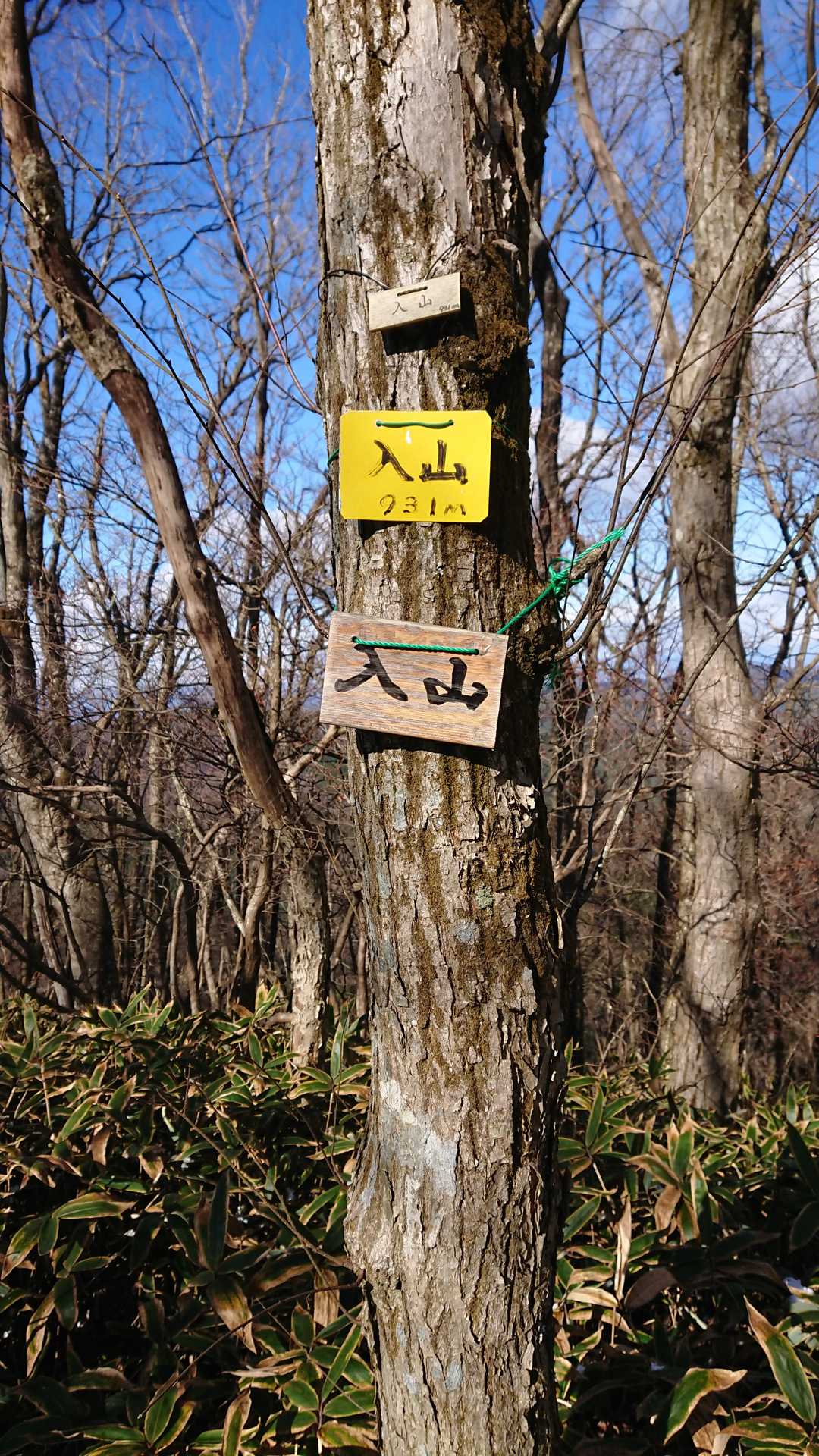 入山（福島県）の写真