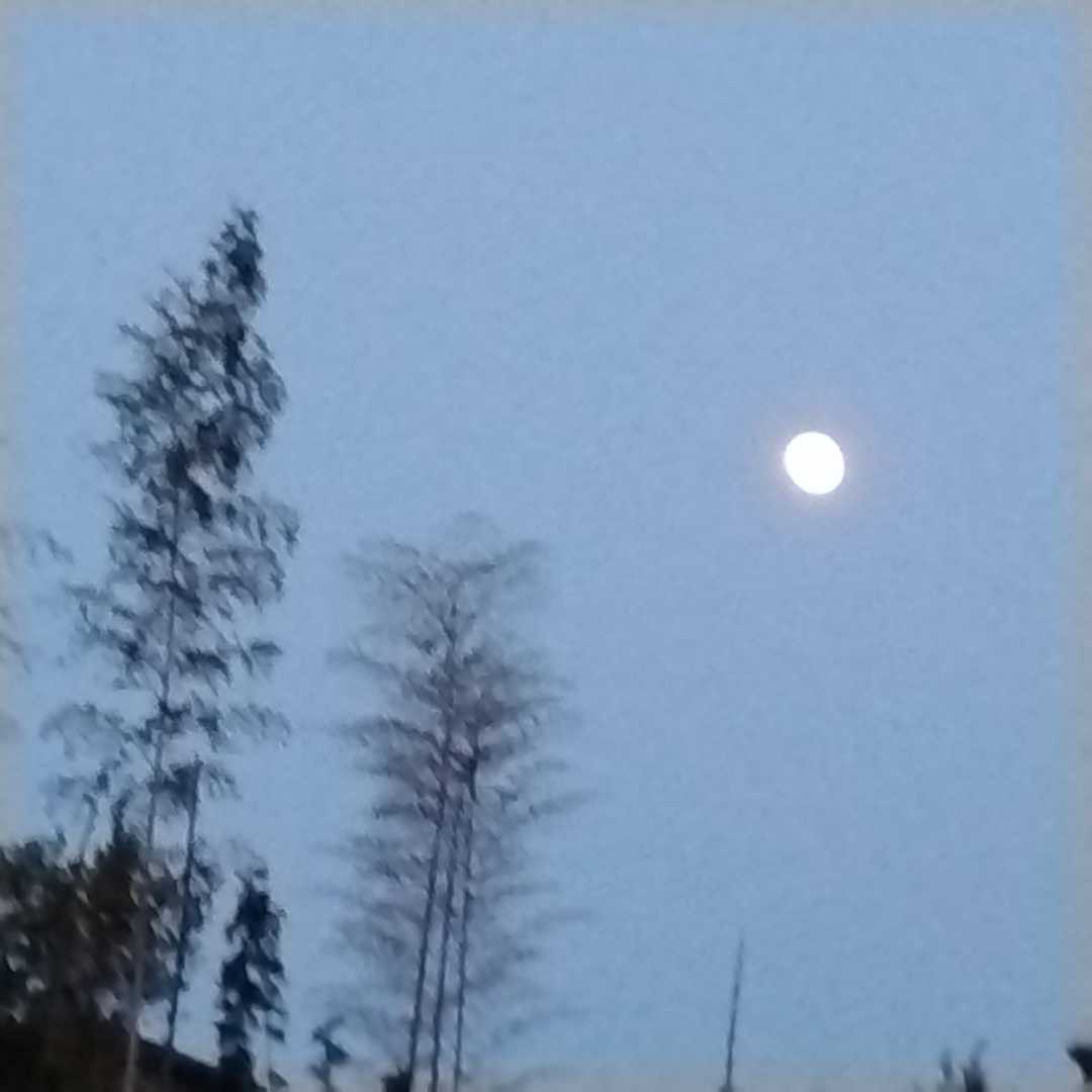 今日は満月🌕