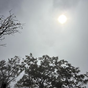 休憩中に日が差してきた☀️