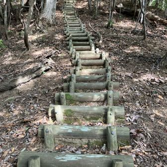 さっきよりも長めの階段。登りきってもまだ山頂ではない😭