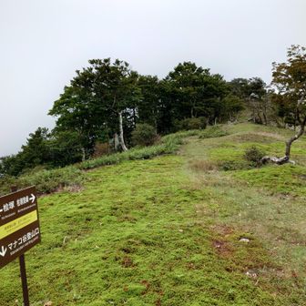 三叉路を奥峰へ