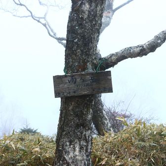 ガスガス過ぎて何しに来たし？と言う感情しか湧かない