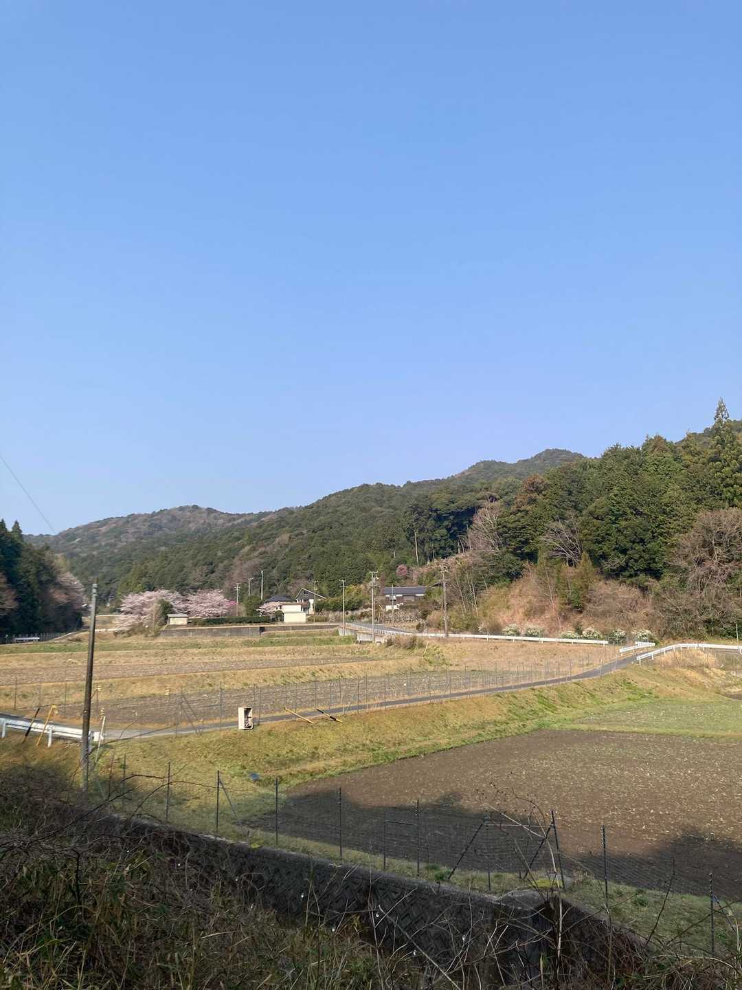 あのへんを歩いたようです