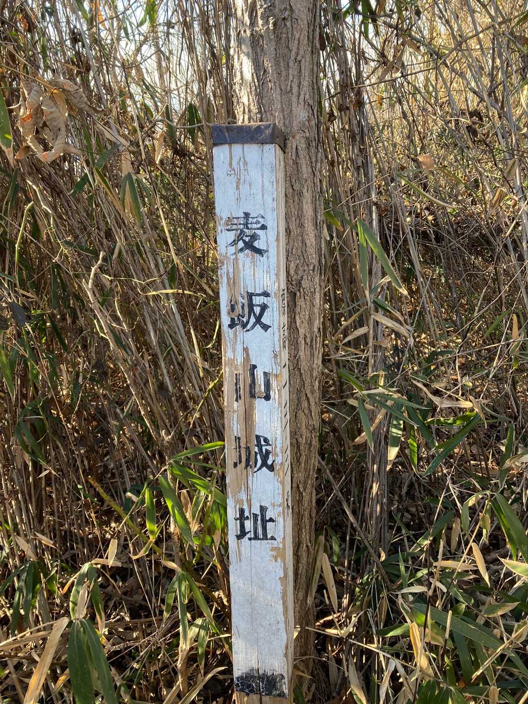 麦飯山ゲット～‼️
今日は珍しく山頂ゲッターになっちゃったな☺️
適当に降りよっと😃