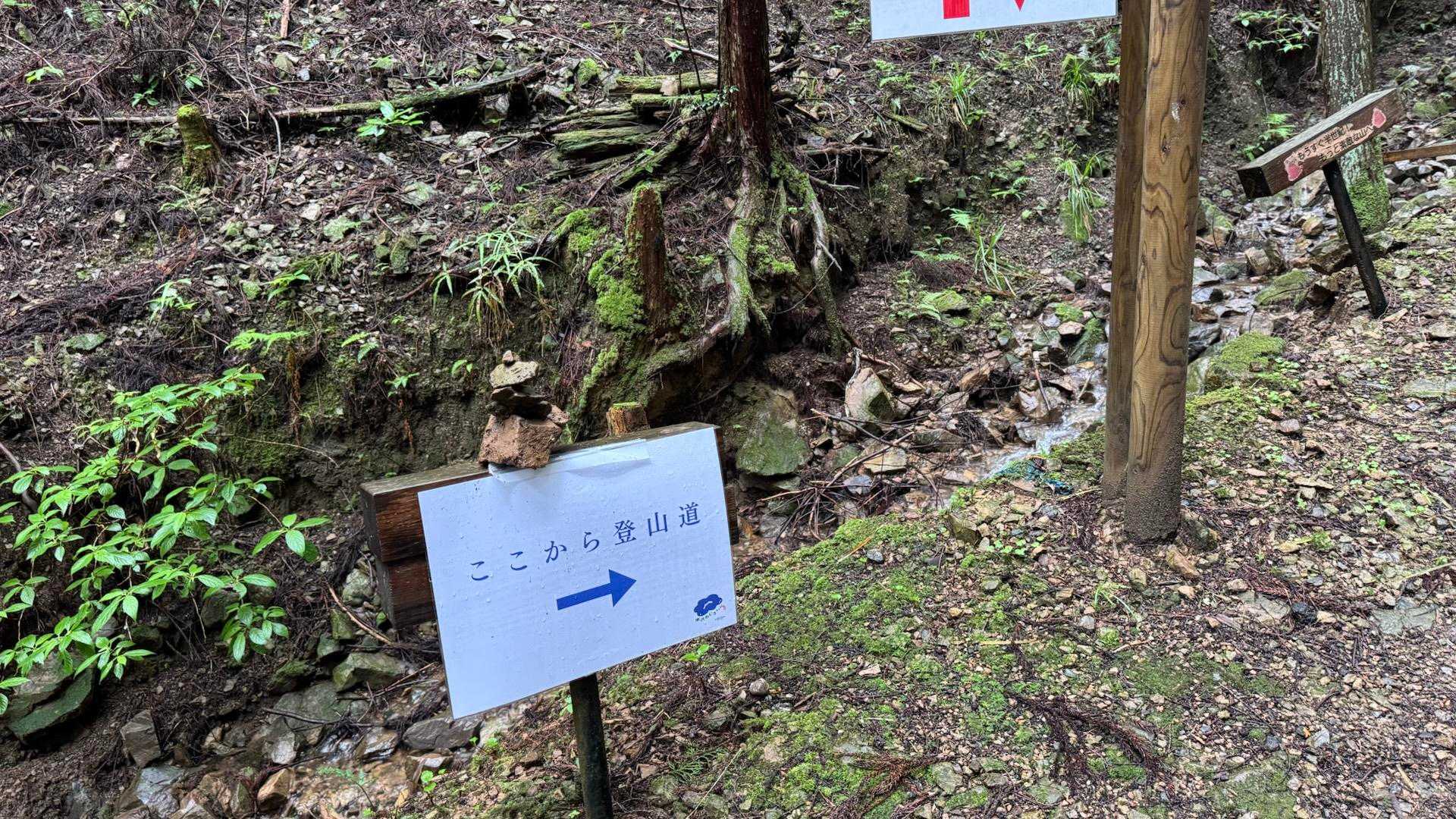武蔵五日市駅-南沢あじさい山入口-南沢あじさい山入口-金比 周回コースの写真
