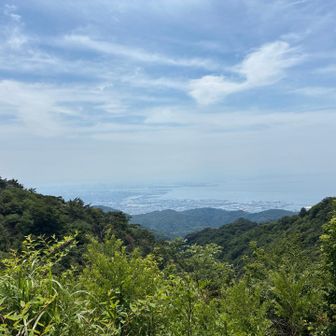 霞んでいて遠くは見えません