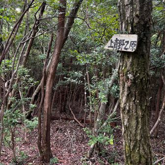 北へ進む道が示されている。