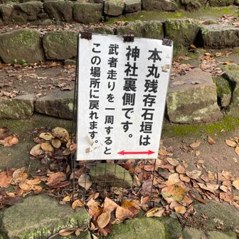 武者走ってなんだ？？
歴史的教養が足りてなくて‥分からないから行ってみる。