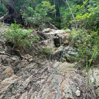 ロープが多数ある山でした