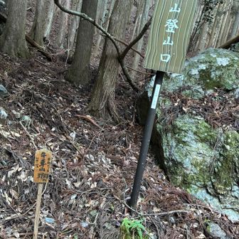 正伝院から5〜6百m舗装林道を歩くと牛草山日向コース登山口
牛草山まで3948mとなっています。
ここまで車入れないことはないが、荒れた林道　お勧めできません
