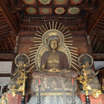 木造阿弥陀三尊像

案内板によると、元々は岩手県の平泉中尊寺にあったものを、千葉県の泉倉寺を経て、1753年にこの寺に受け継がれたらしい。