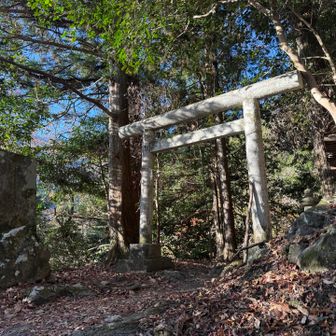 少し進むと鳥居があります。