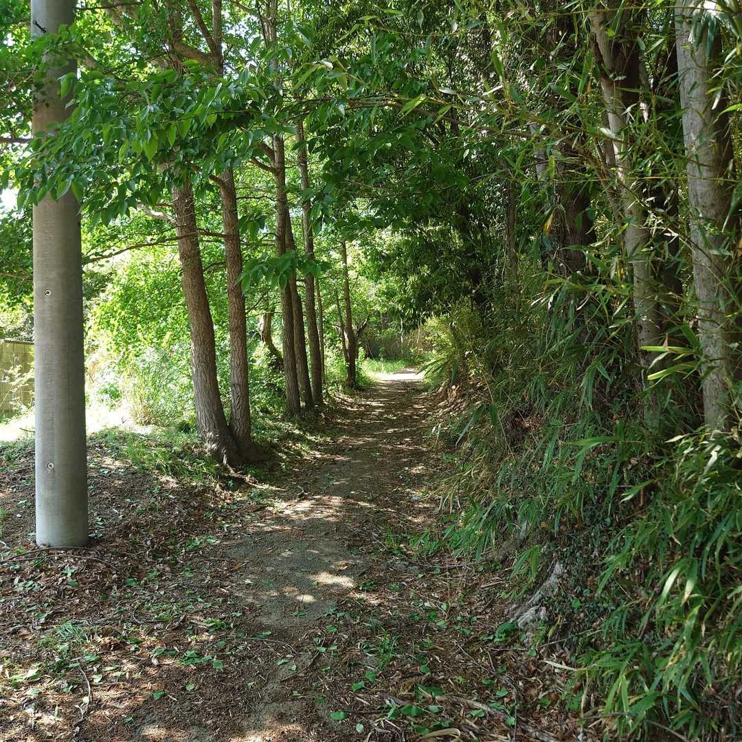 ポイント-唐沢山 往復コースの写真