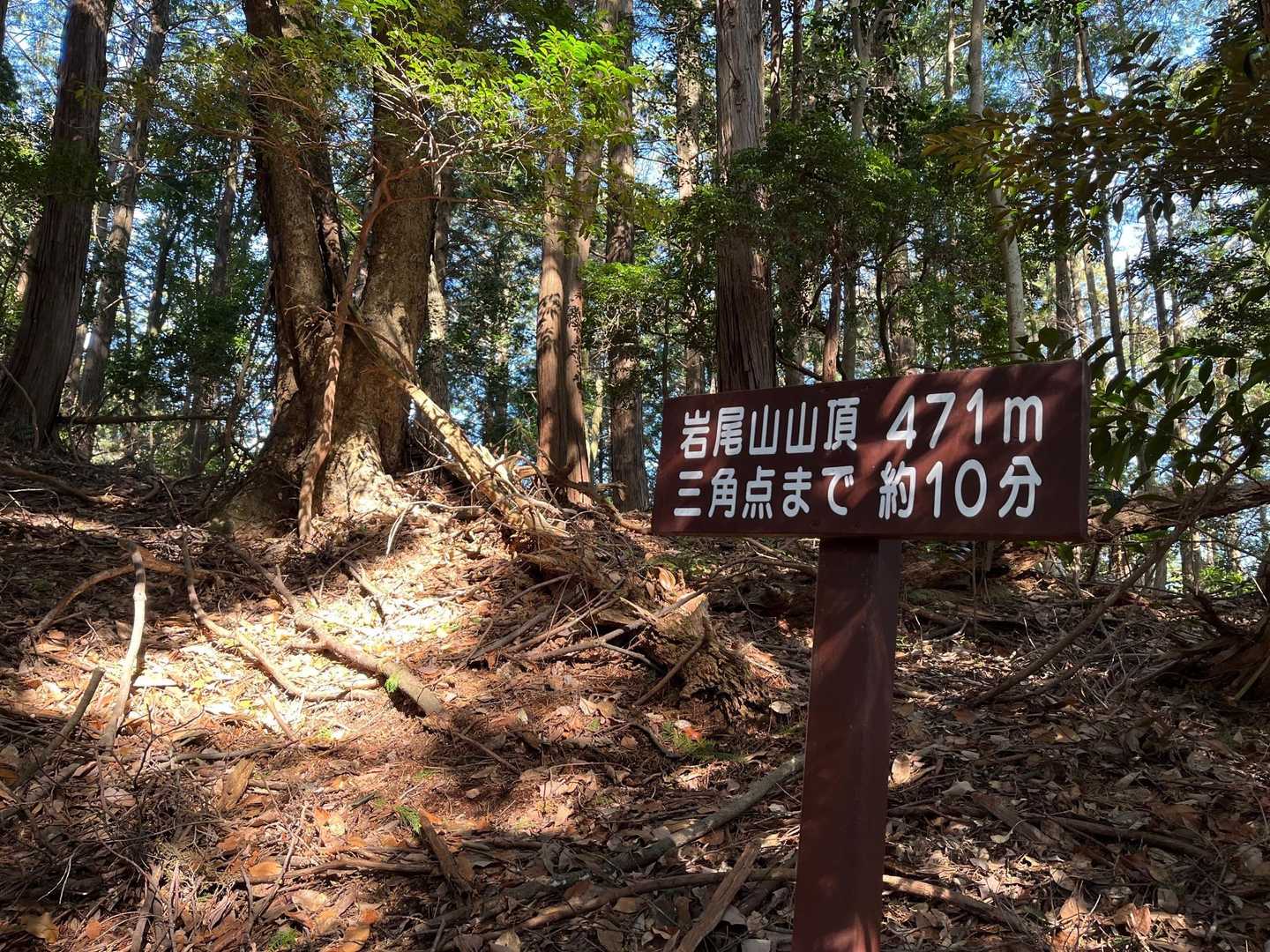 此処が岩尾山への分岐点！