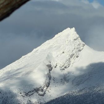 １７倍で拡大📸