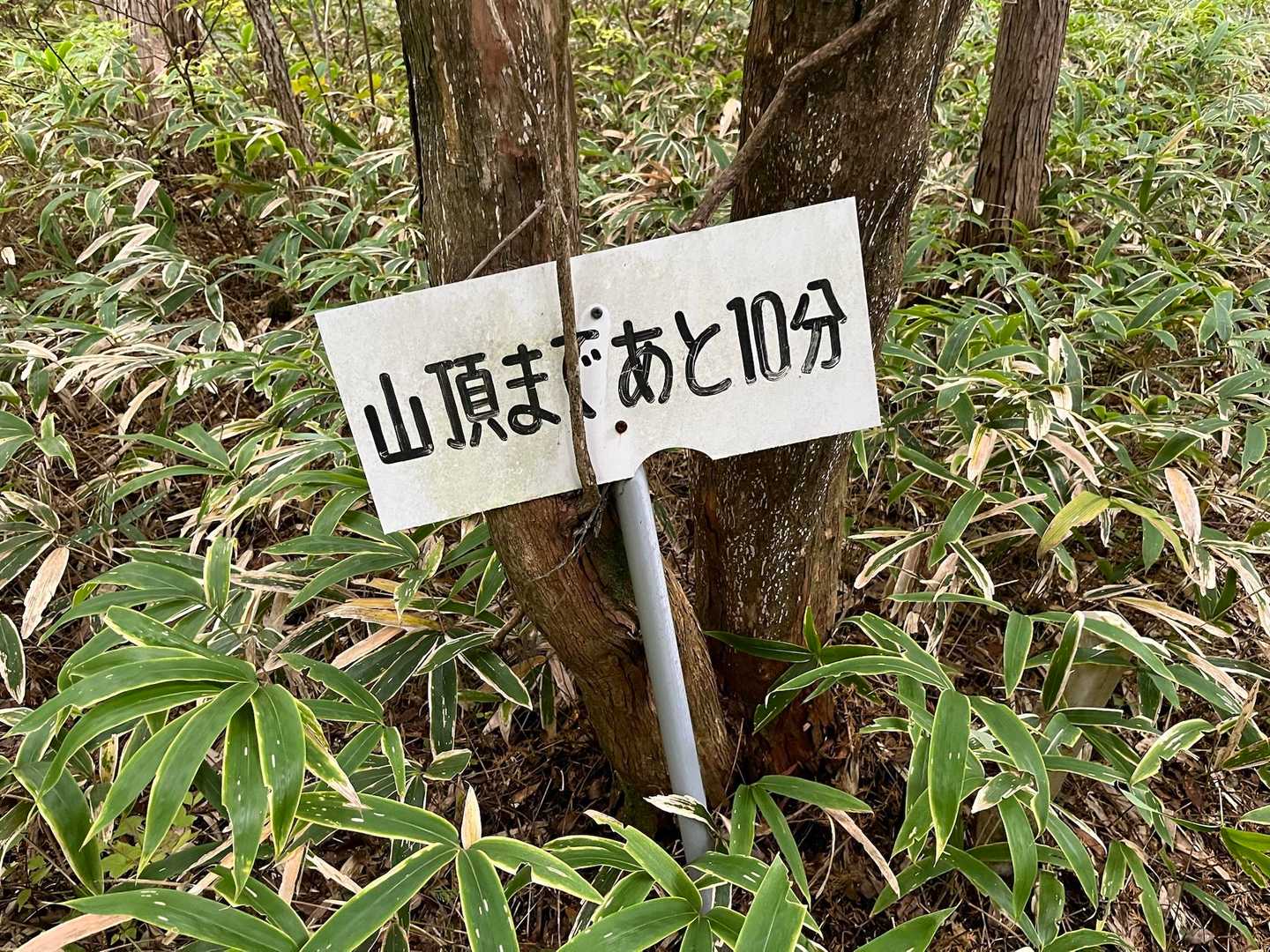 山頂まであと10分🪧