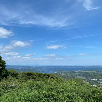 どこだったかな…思い出せません。