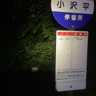 この予約バス路線ね
深夜便あればそれで行くだけなんだがなあ😇
