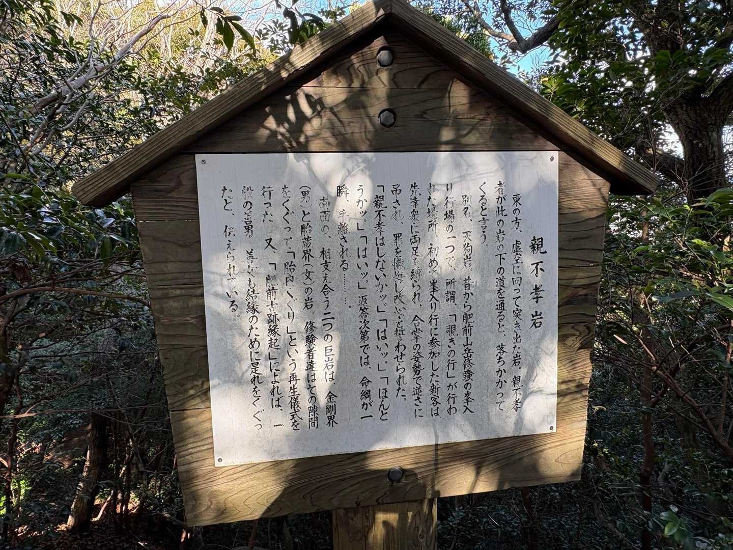 行ってみた