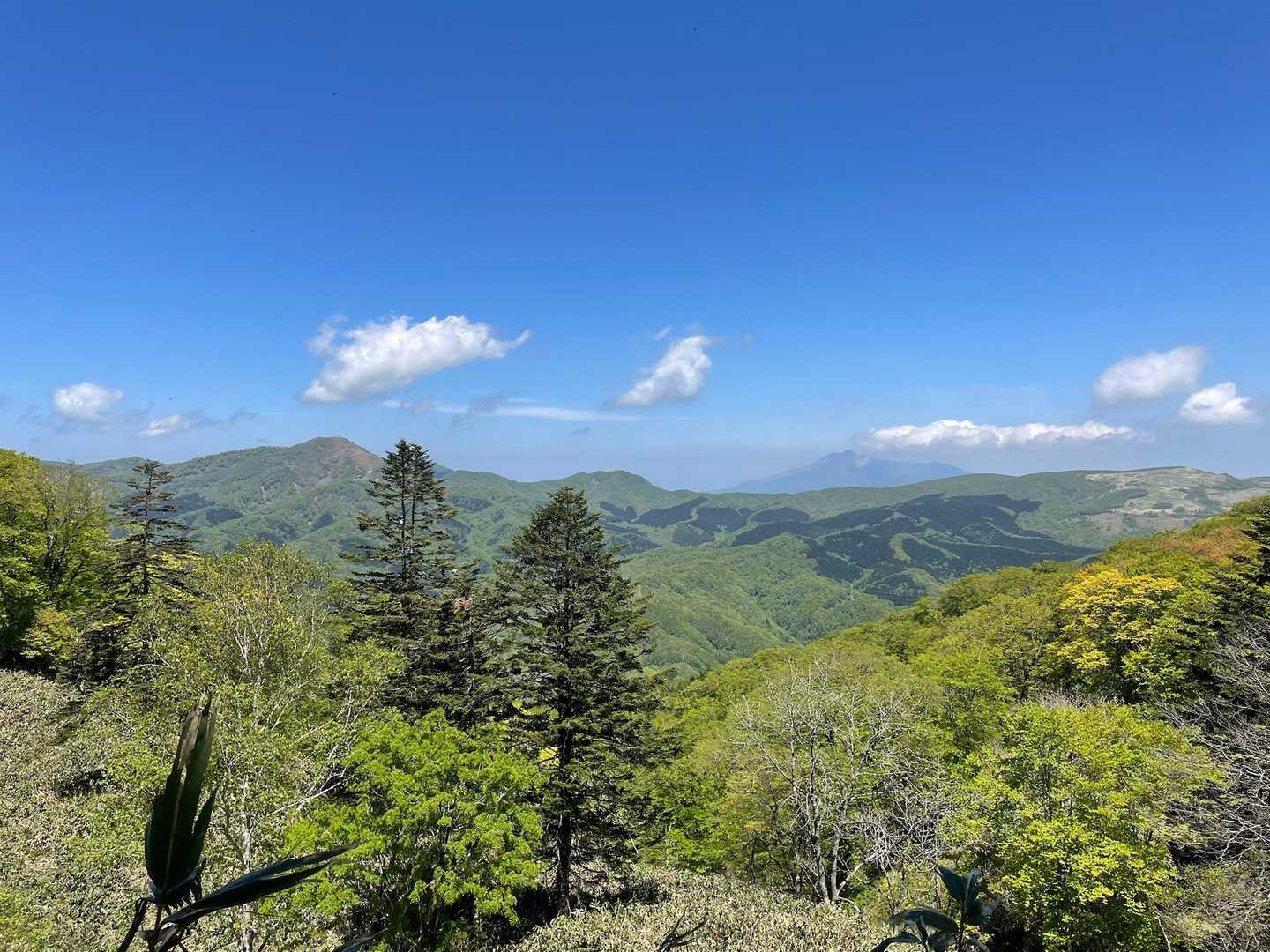 二股岳も入れて