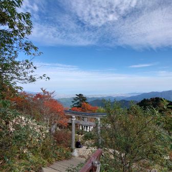 見渡す景色