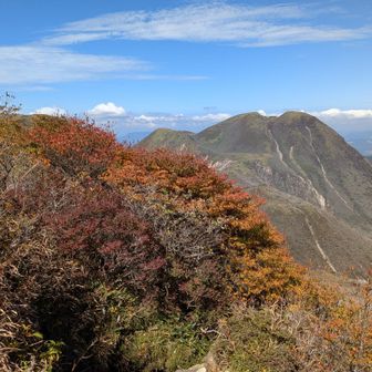 紅葉と三俣山
大船山も紅葉していますね
大船山はもういい感じに仕上がってきてるみたいです✨