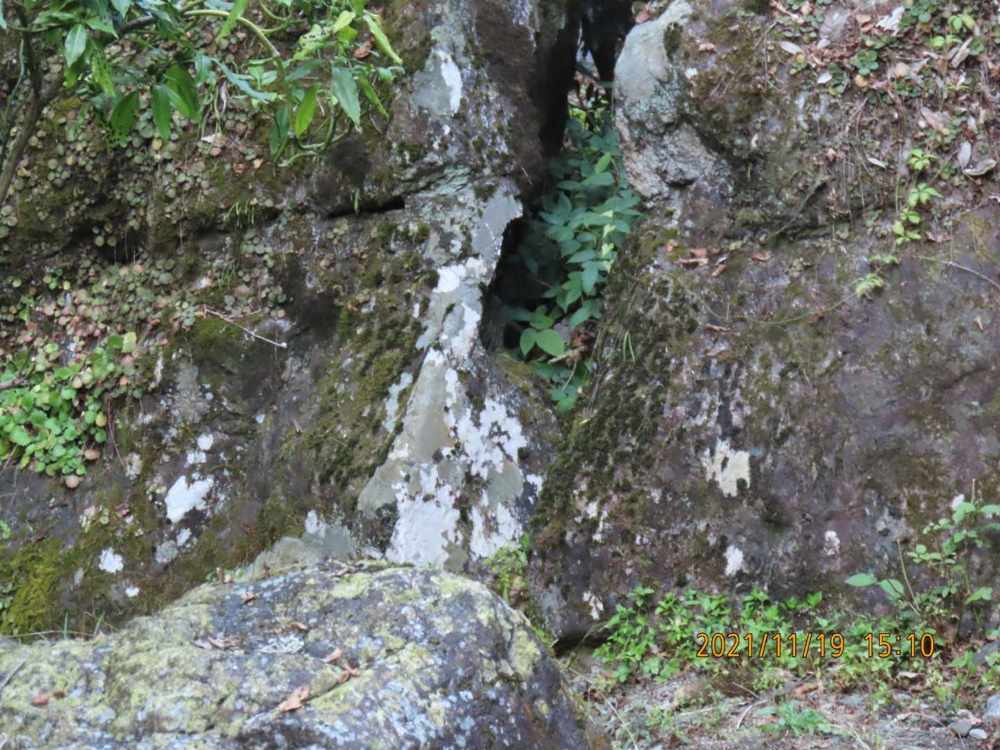 ちらほら民家が見える辺りで突然おじさんに話しかけられた。
[あの岩の下あたりは何かに見えないかね]と。
しばし眺めて、[親子ですかね？]と私。
[そう、パーマのお母さんに甘える子供に見えるよね、自然とはよくしたものだねぇ]とおじさん。
合ってて良かったと安堵する私😅
