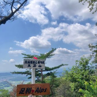 大岩山山頂