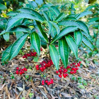 お疲れ様でした😊