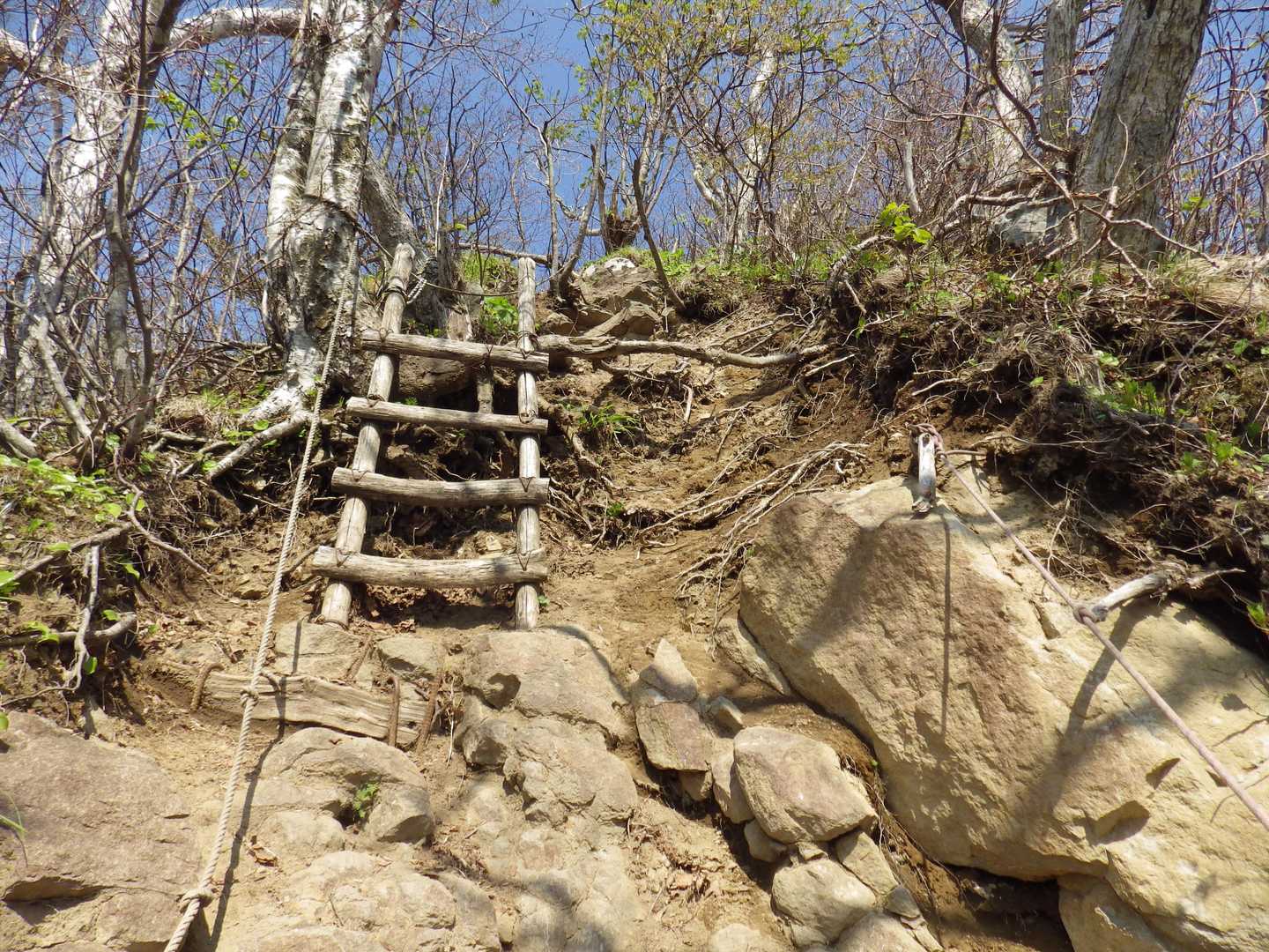 黄金山登山口-黄金山 往復コースの写真