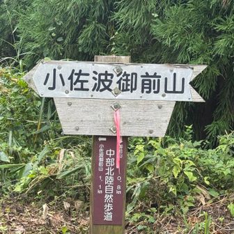 小佐波御前山は、左⬅️に行く