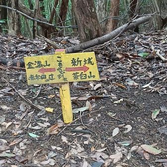 こもれび別れ