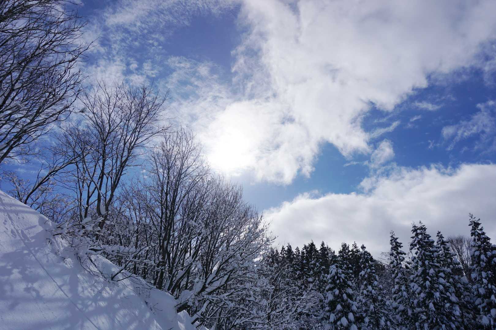 《1km地点～下山》

陽当たりが良い場所だと気温も高まり...
(h)