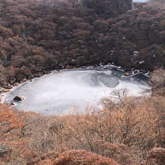 渡れるかな？やめとこ。