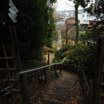 山頂からの見下ろし