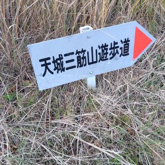 暫くは舗装路を歩きます