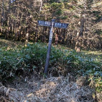 大石峠、茶臼山とオトギリ平との分岐点。うっかり間違えてオトギリ平へ入りかけてしまいました