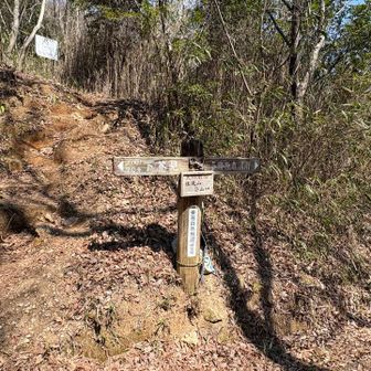 芥見権現山へ