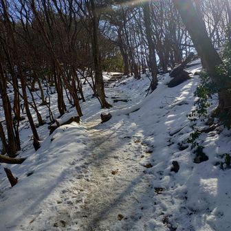早速アイスバーン👍
チェーンスパイクでガシガシ歩けます❄
ないとたぶんコケます～😸