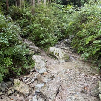 渡渉🏞️