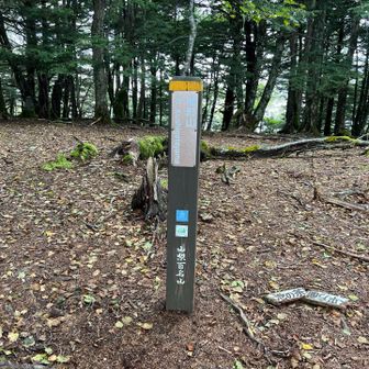 山梨百名山！
櫛形山に到着！