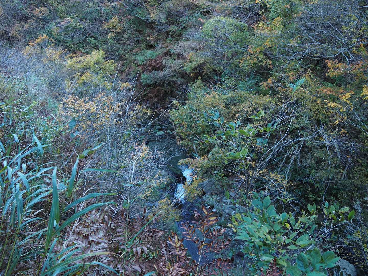 写真じゃわかりにくいけど、滑って落ちたら即死