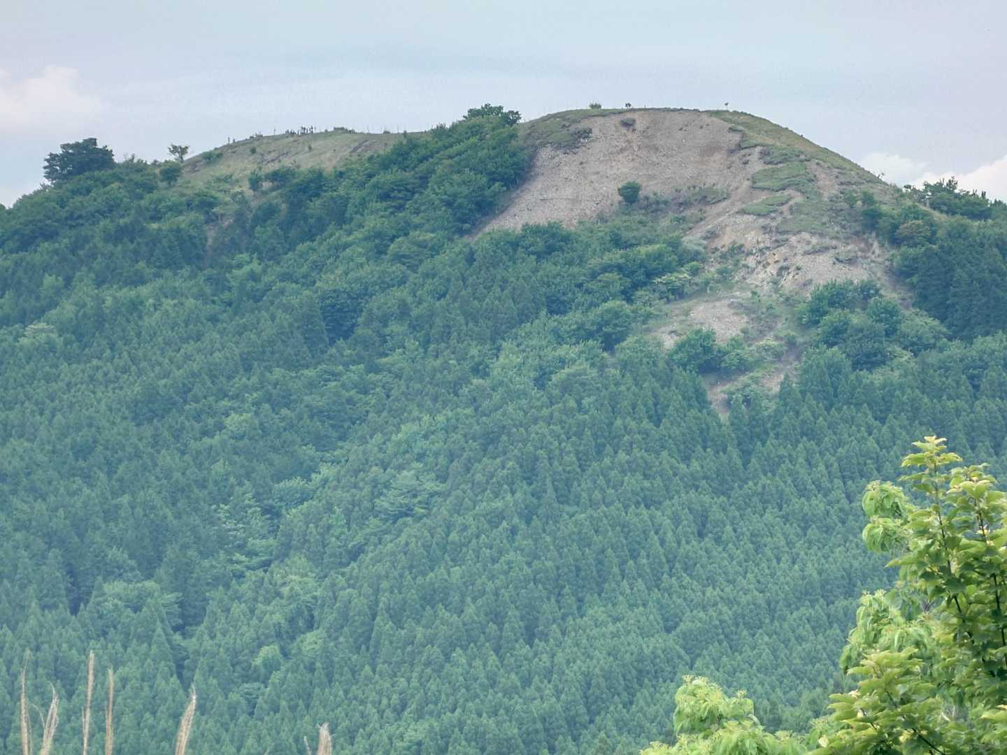 紅花山芍薬目当ての登山客で、賑わってました😆