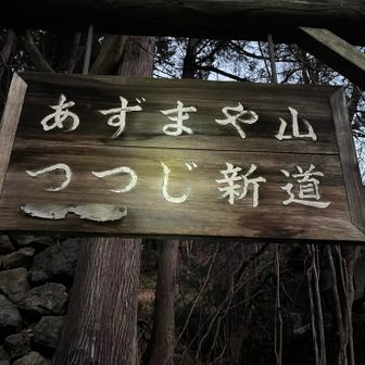 つつじ新道から登ります