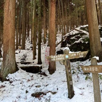 後山キャンプ場に車を止めスタート