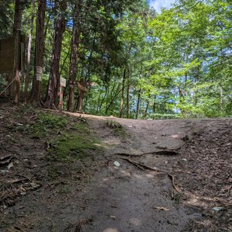 股峠へ戻りました👍
後少しで下山です👍