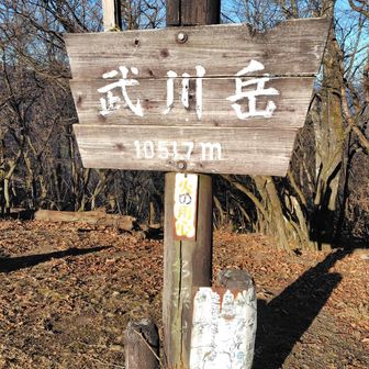 武川岳